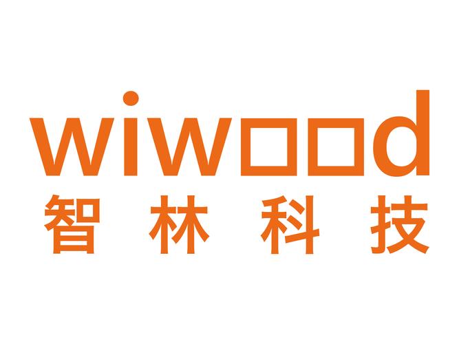計(jì)算機(jī)軟件與信息系統(tǒng)軟件開發(fā) 從經(jīng)營范圍到核心能力建設(shè)